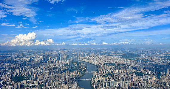 域名注册查询平台有哪些公司可以注册