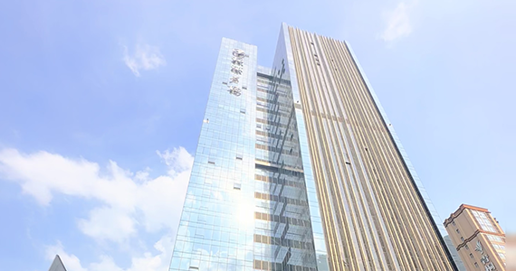 甘肃域名注册查询代理公司