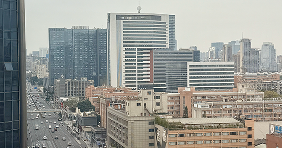 通过洛阳跑腿公司查询域名