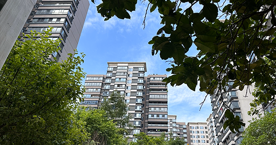 福建域名注册查询代理公司名单