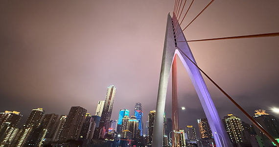 公司注册域名怎么查询进度