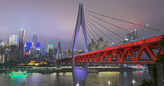 通过郑州鑫和公司查询域名